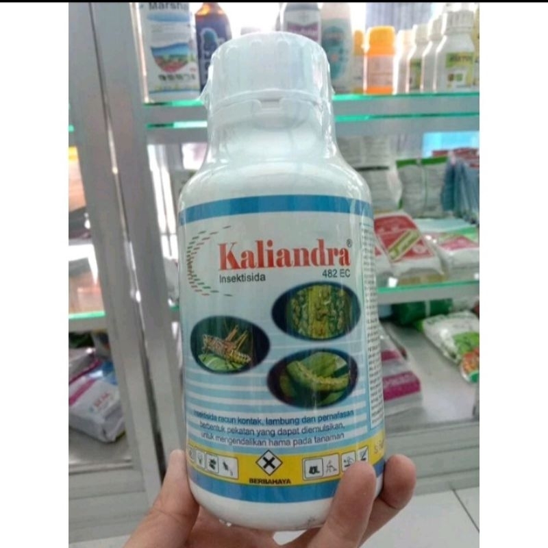 Insektisida KALIANDRA 482EC 1Liter Bahan aktif : Klorpirifos 482g/l