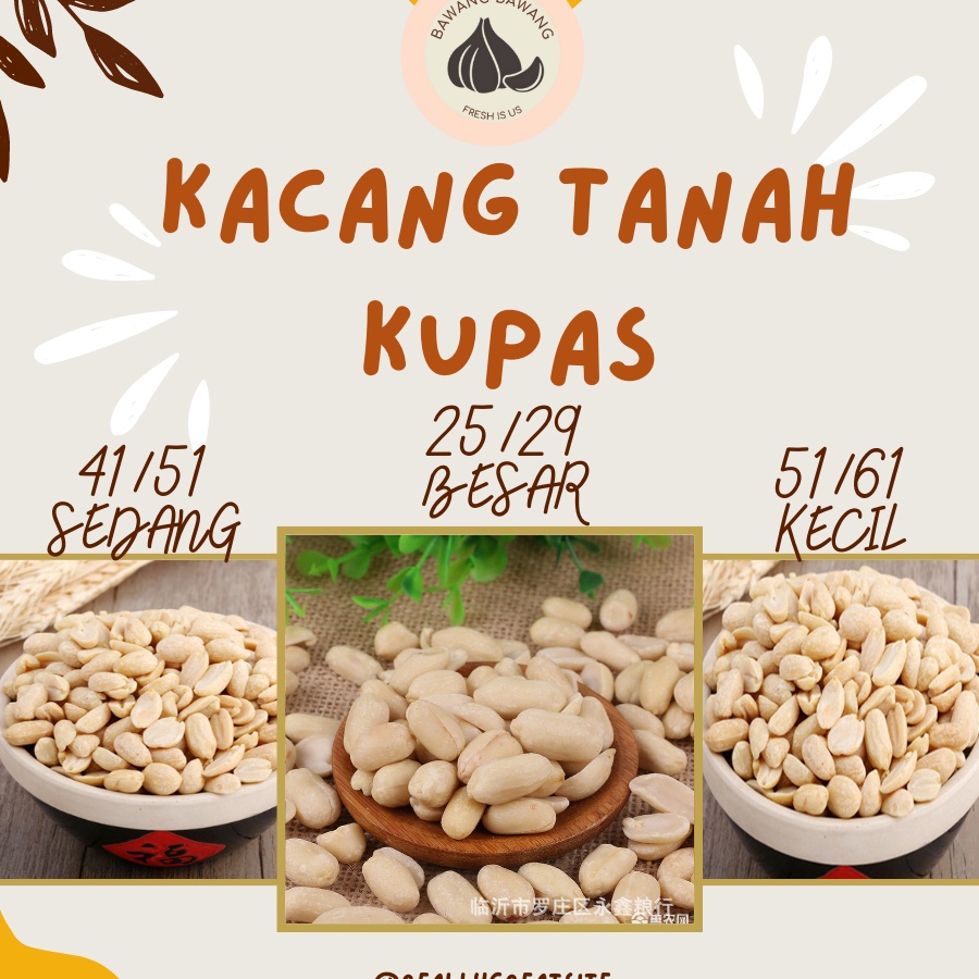 

77 Kacang Tanah Kupas Bersih Import 1 KG kualitas premium HSD