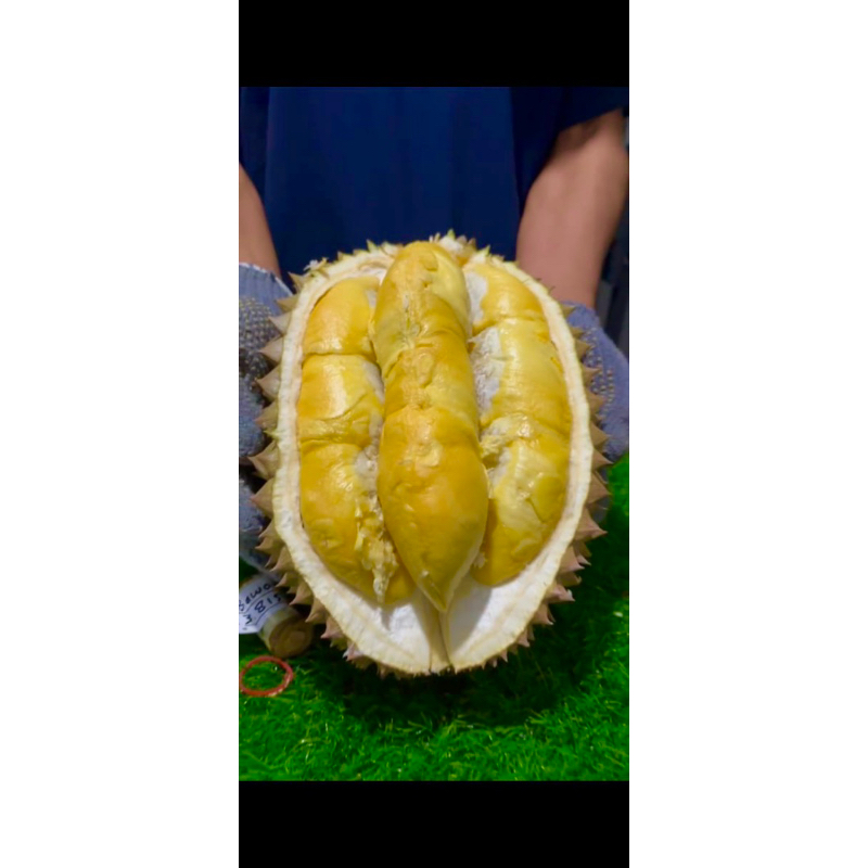 durian bawor / montong orange / montong super daging tebal biji kecil utuh / kupas