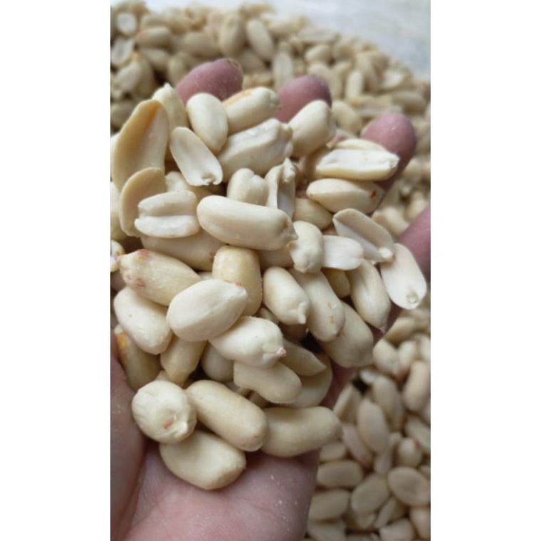 

BEST SELLER Kacang Tanah Kupas Bersih 2529 JUMBO 4151 No2 Import 1KG Kilo Bukan Lokal