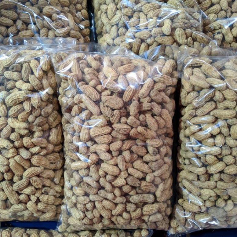 

Cuci gudang KACANG KULIT SANGRAI 5Gram Roasted Peanuts Setengah Kiloan
