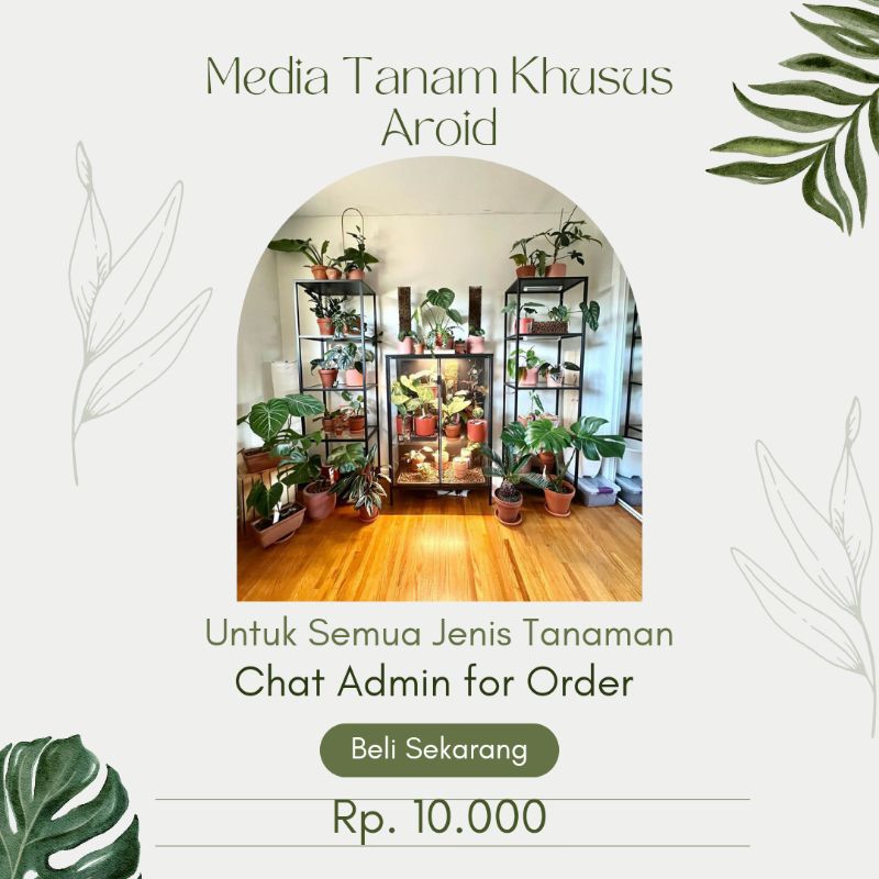 Media Tanam Aroid