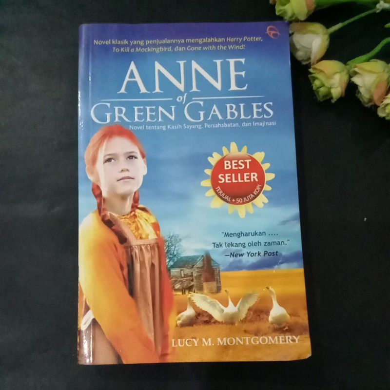 novel Anne of Green Gables preloved