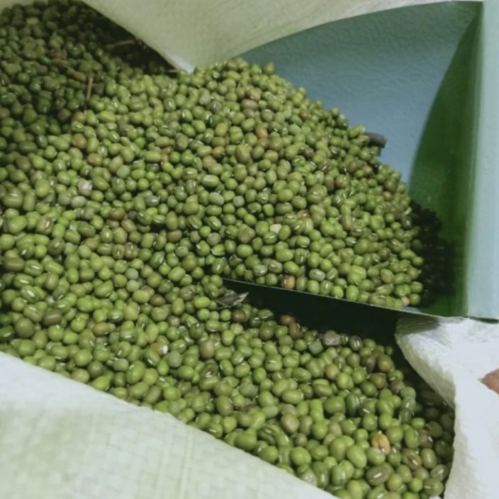 

PROMO SALE kacang ijo Australia kacang ijo lokal bubur 1 kg kualitas super