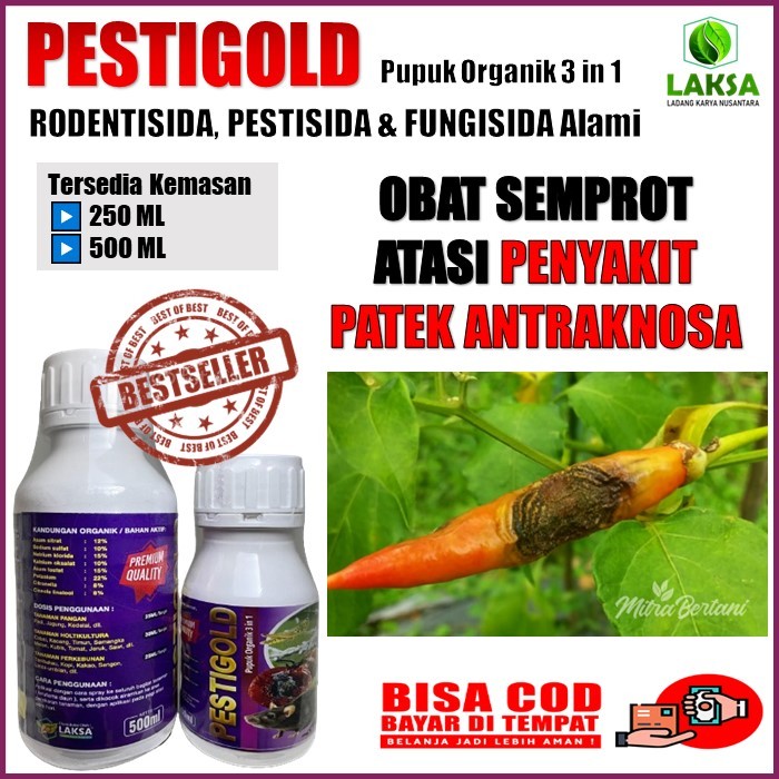 Obat Patek Cabe ampuh - PESTIGOLD Pupuk Organik RODENTISIDA, PESTISIDA & FUNGISIDA Alami Mencegah Pa