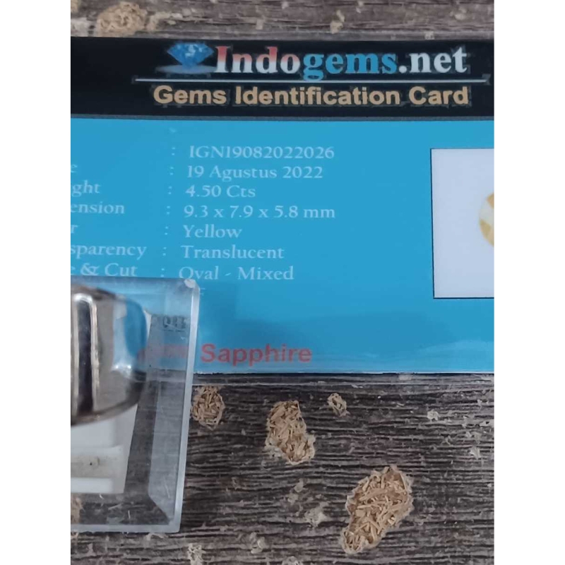 Natural Yellow Sapphire afrika joss bagus top juara bening klimis safir sapir saphire yakut