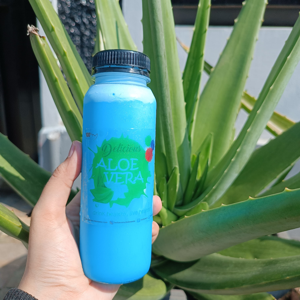 

Delicious Aloevera Minuman Jus Lidah Buaya