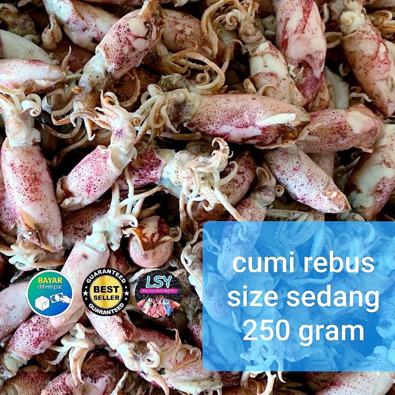 

Swip up ikan asin cumi rebus sotong rebus size sedang 25gram