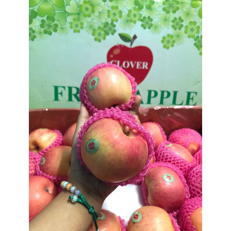 

apel fuji china clover size 88 /kg