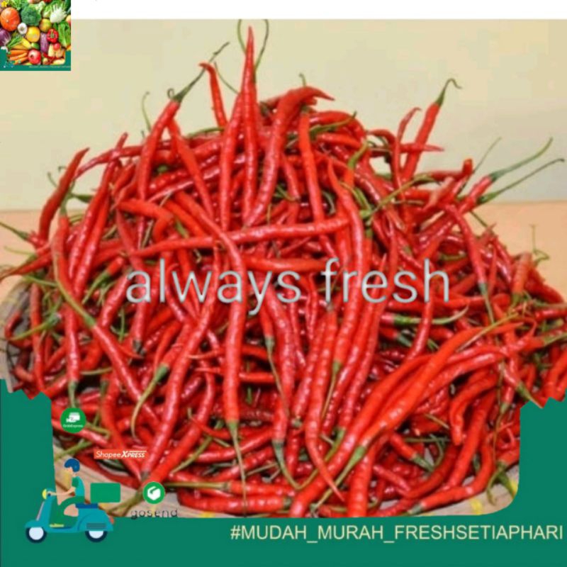 

- always fresh palembang