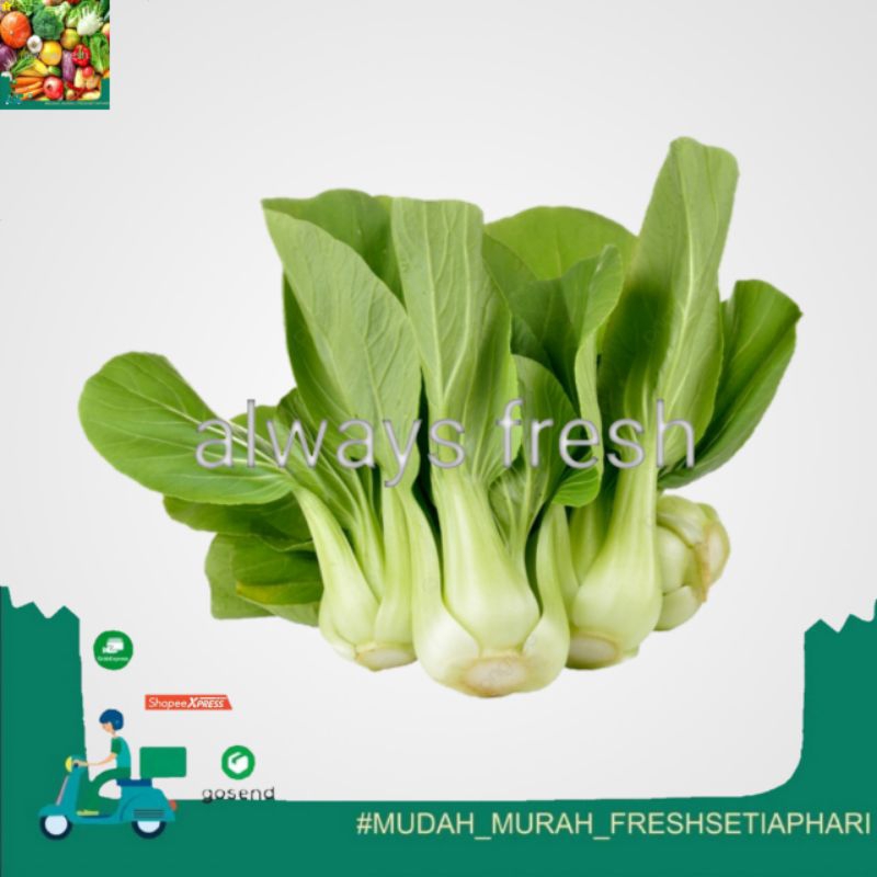 

- always fresh palembang