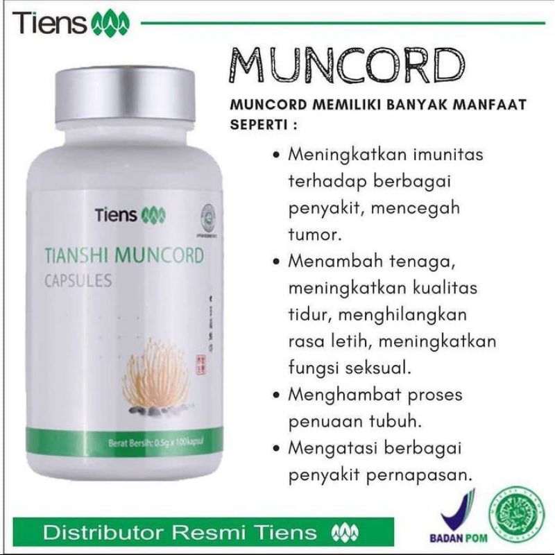 MUNCORD TIENS | ORIGINAL TIENS |  SUPLEMEN TIENS | AMPUH DAN ORIGINAL