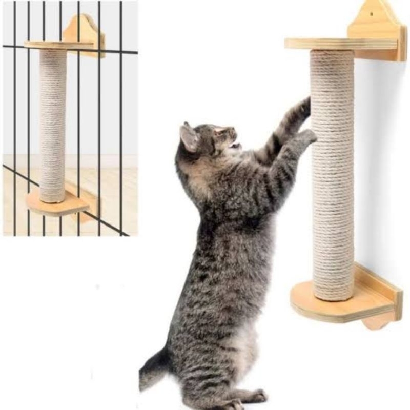 GARUKAN KUCING || CAKARAN KUCING || CAKARAN KUCING