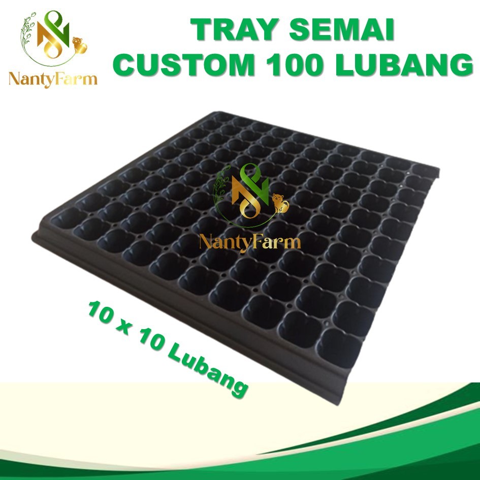 Tray Semai Potray 100 Lubang Custom - Tray Semai 10x10