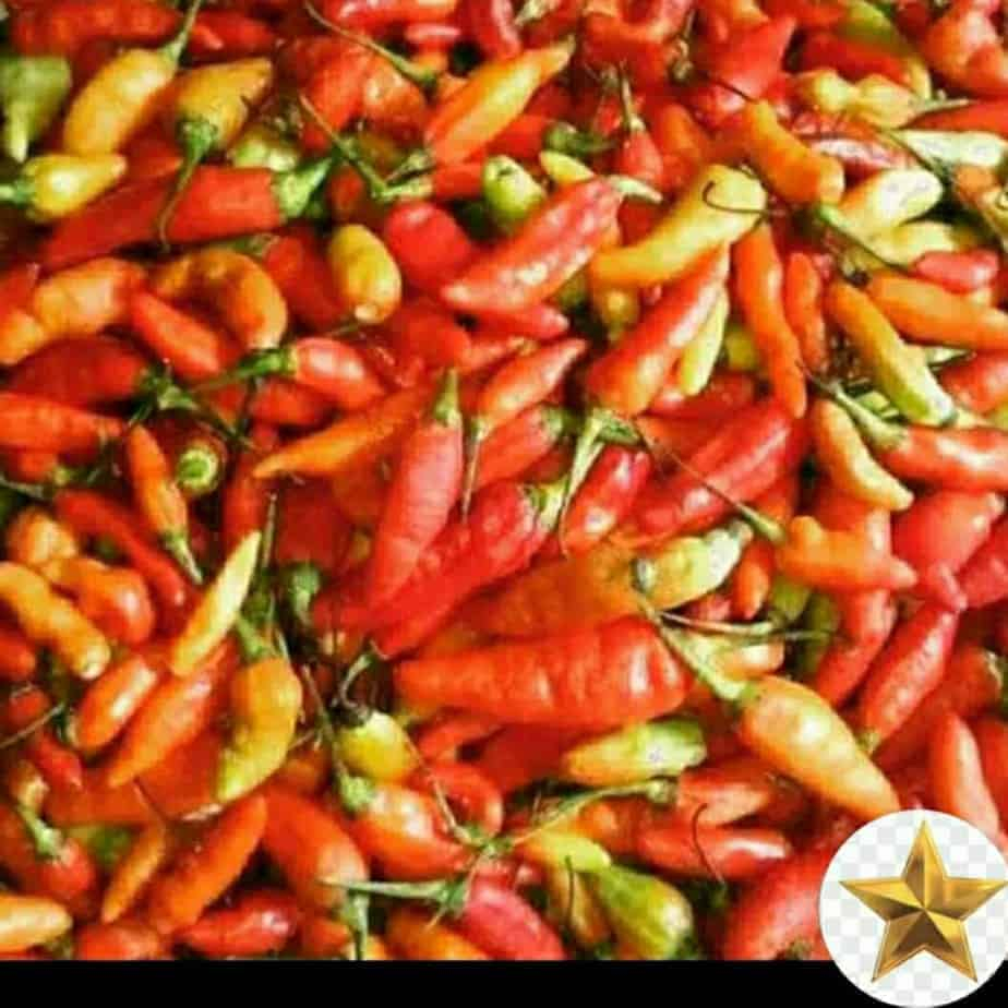 

Cabai rawit merah 100/250 gram KIRIM INSTAN