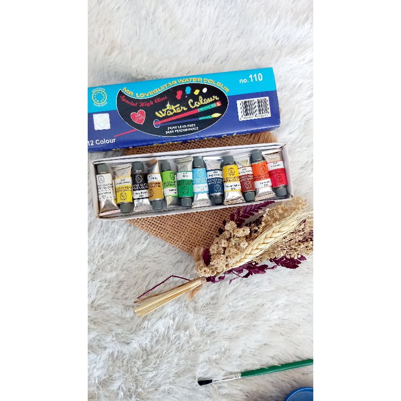 

1 set cat air 12 warna