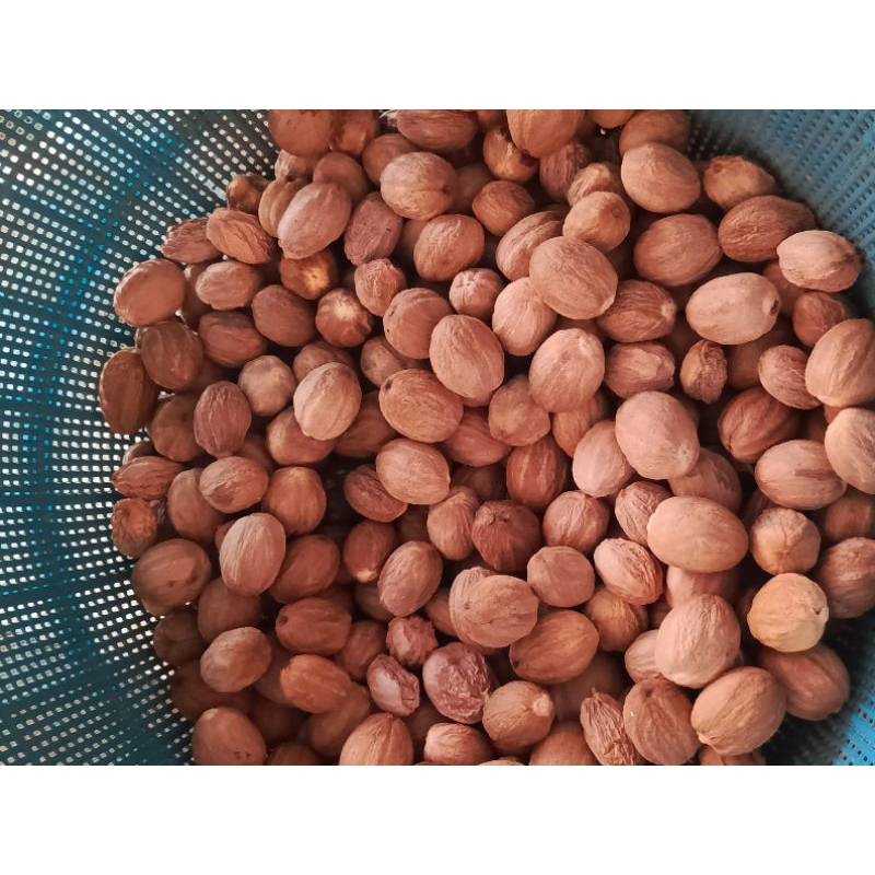 

Biji Pala kualitas super, Bulat dan bersih 750gram