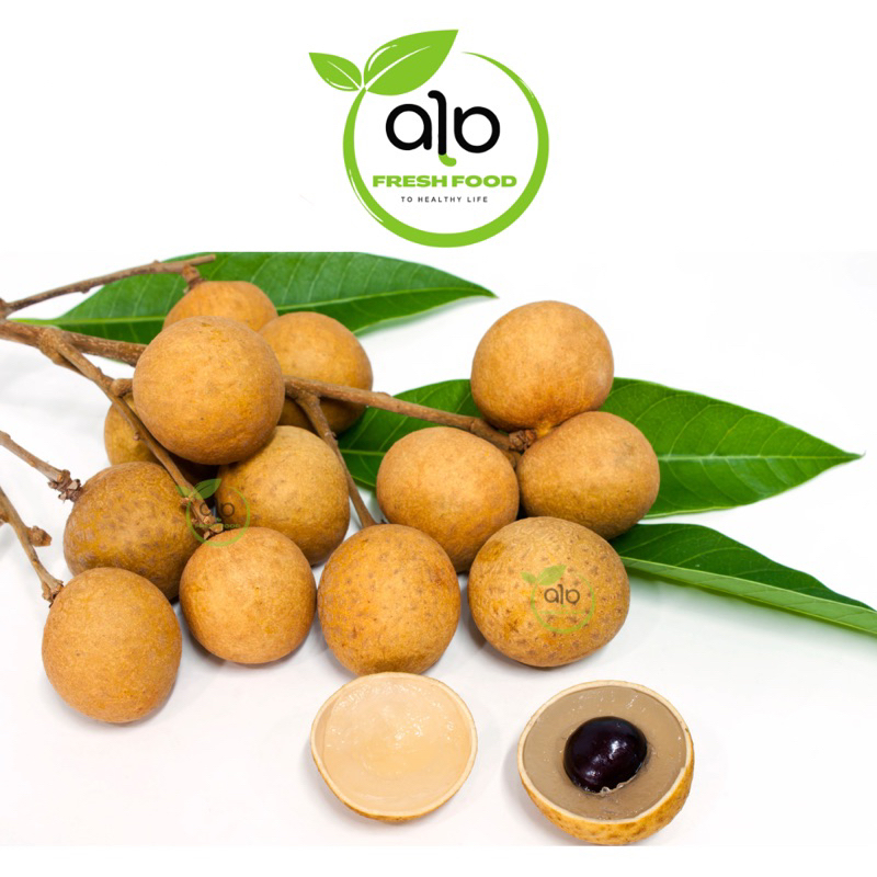 

Buah Kelengkeng 500 gram - ALO Fresh Food