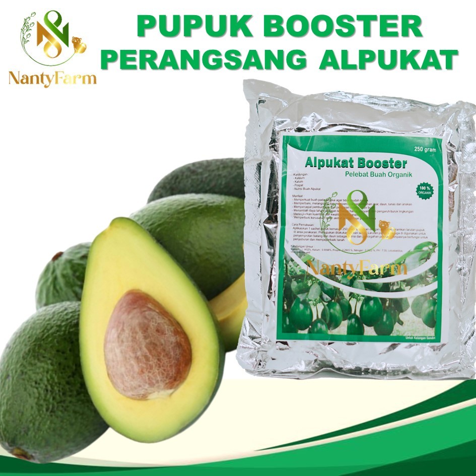 Pupuk Alpukat Booster Alpukat Perangsang Buah Alpukat - Pupuk Buah Alpukat 250 Gram