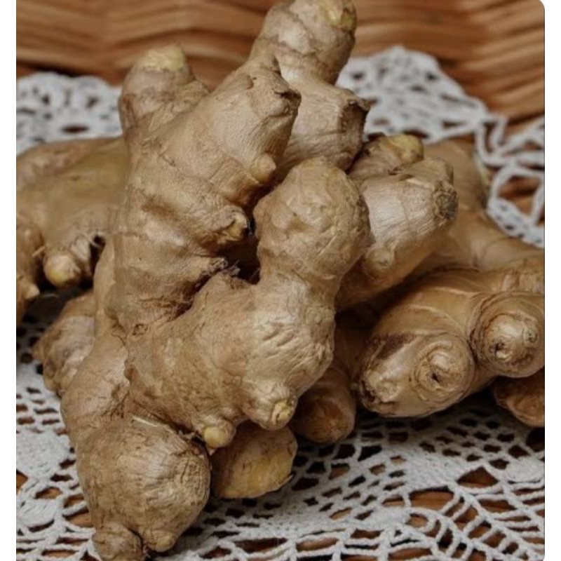 

Jahe putih hangat 300gram