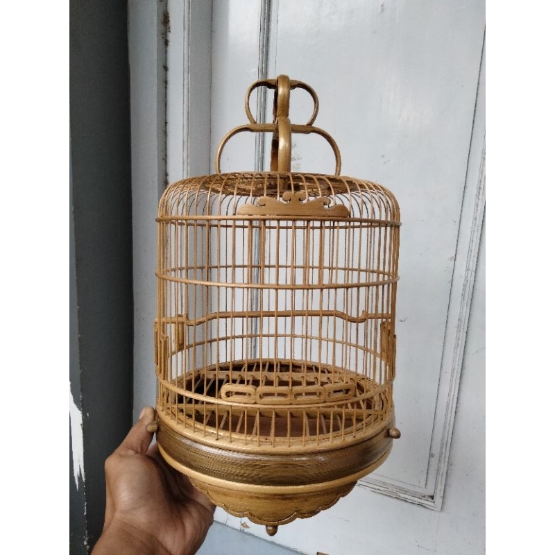 Cungkok  Bambu Alusan