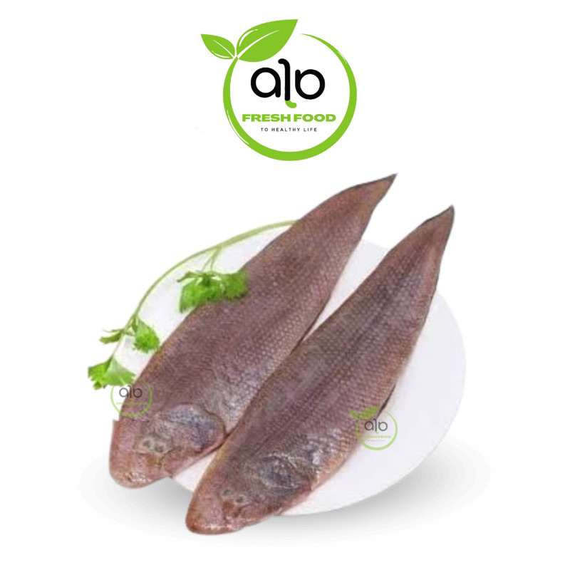 

IKAN LIDAH FRESH - ALO Fresh Food