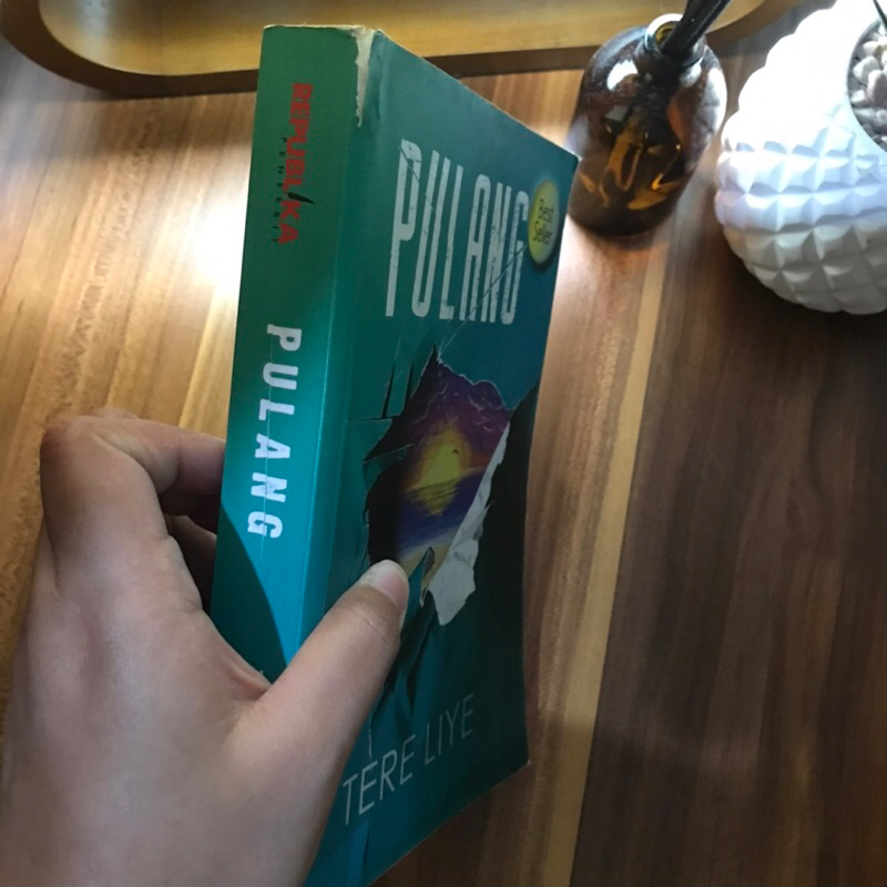 (Preloved) Novel Pulang Tere Liye cover pertama