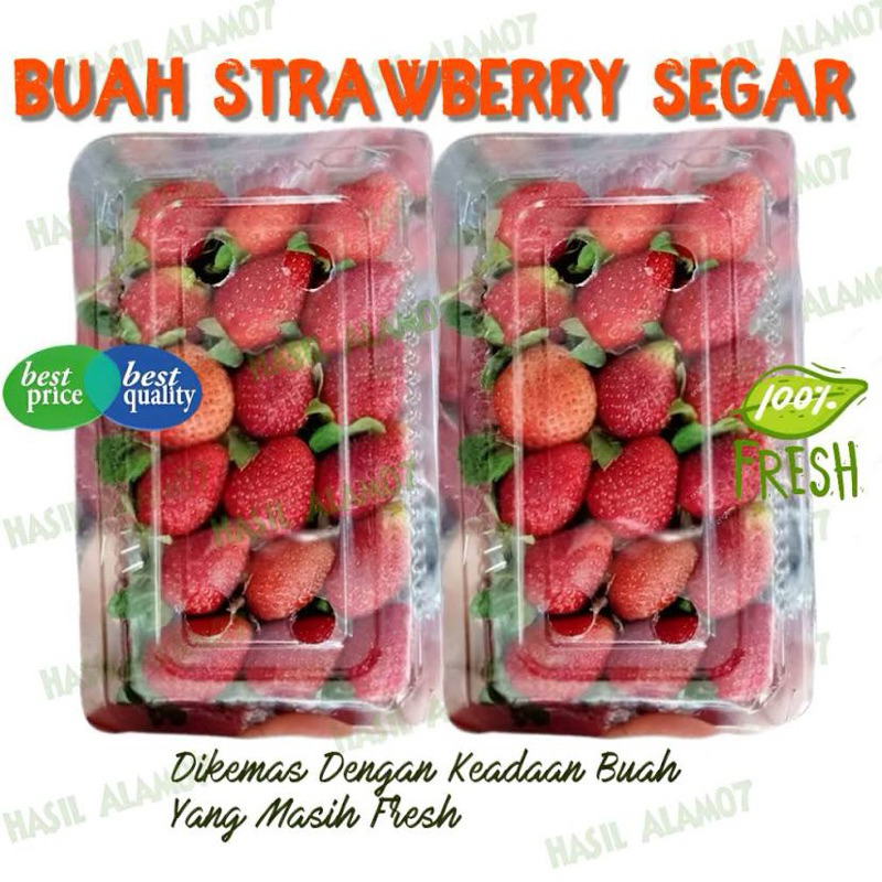 

‼️READY‼️STRAWBERRY FRESH 120GR