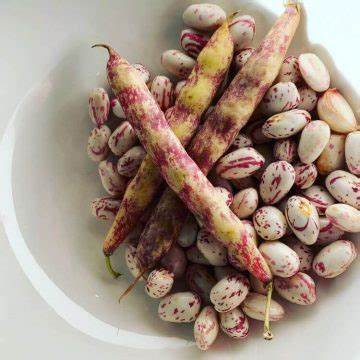 

KACANG JOGO KULIT _ 250GR