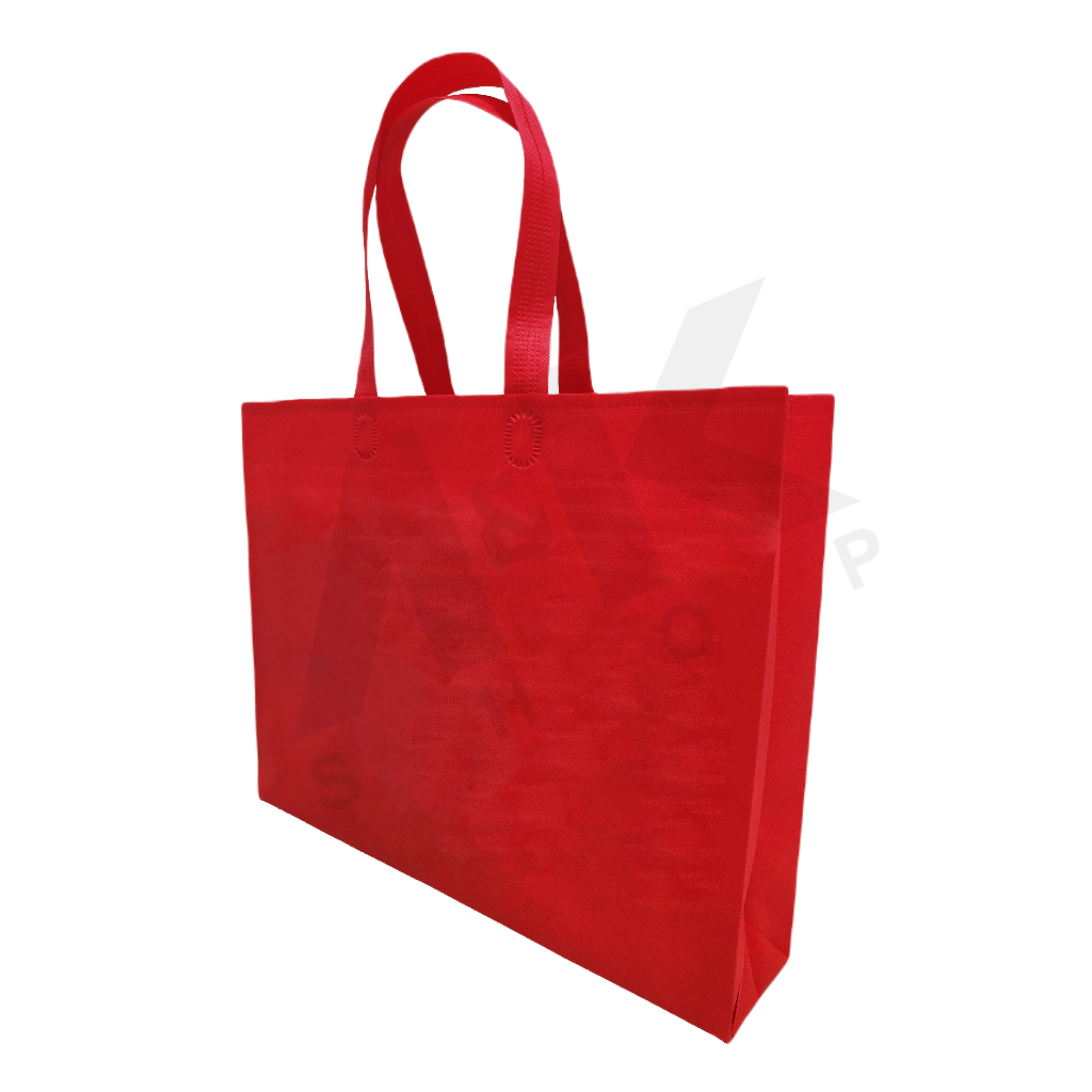 GOODIE BAG SPUNBOND BOX 40x30x8 (POLOS)