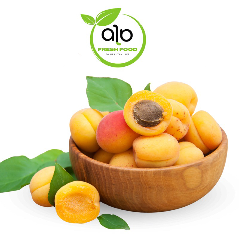 

Buah Apricot Fresh Australia Box / Apricot Vigliaturo Australia 500grm - ALO Fresh Food