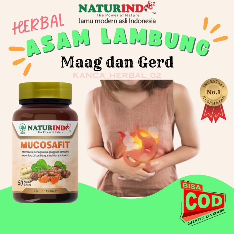 obat lambung obat lambung paling ampuh obat asam lambung paling ampuh asam lambung obat maag obat ge