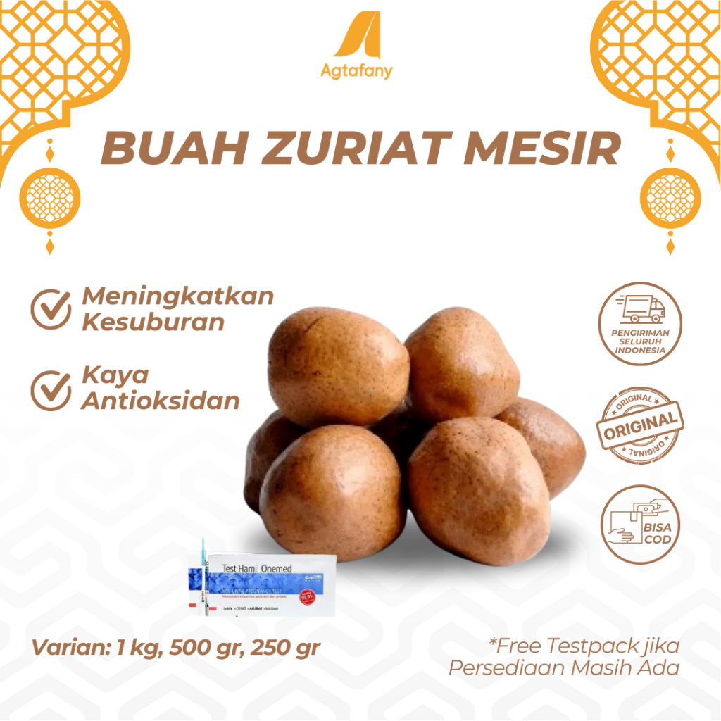 

Promo 500 Gram Buah Zuriat Mesir | Buah Zuriyat Doum Promil Free Testpack