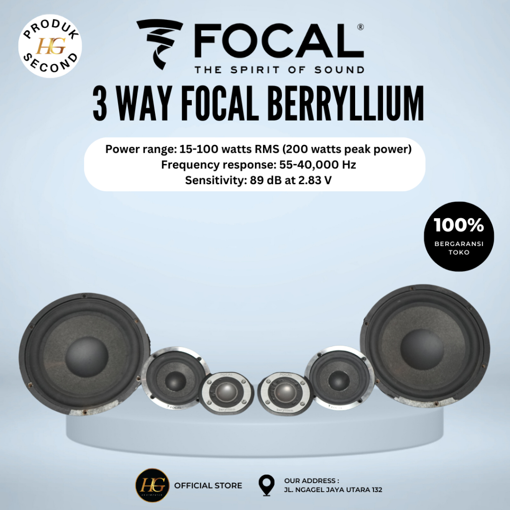 Speaker 3way Focal Berryllium (second)