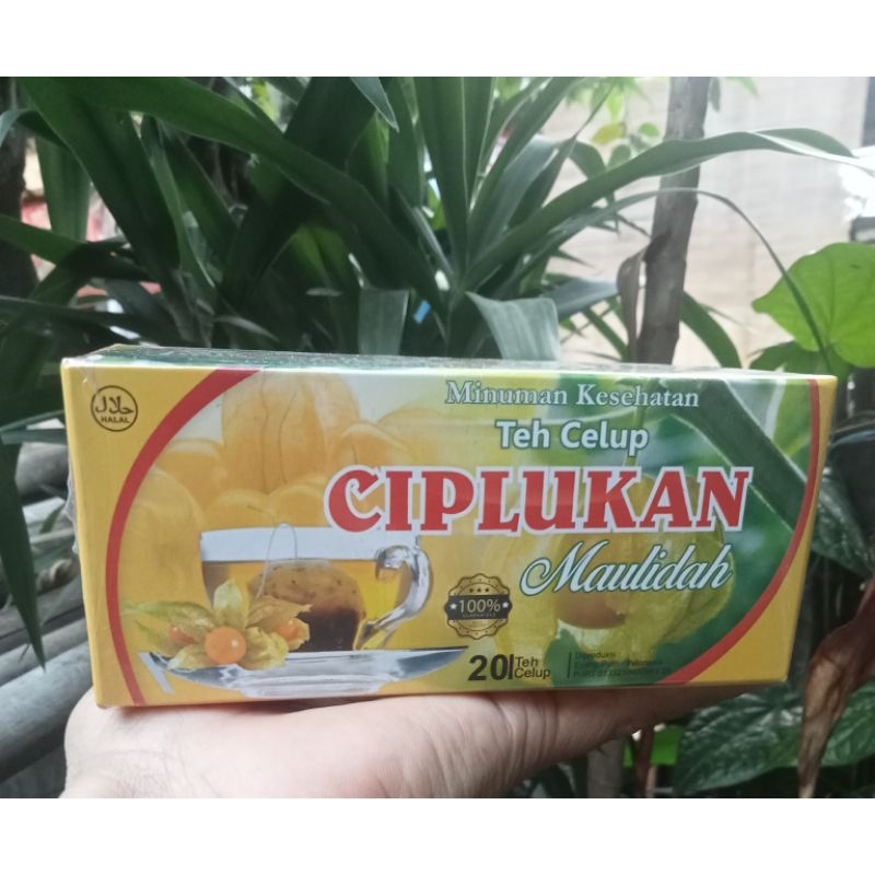 

Teh celup ciplukan//Teh herbal daun/Batang ciplukan isi 20 kantong teh