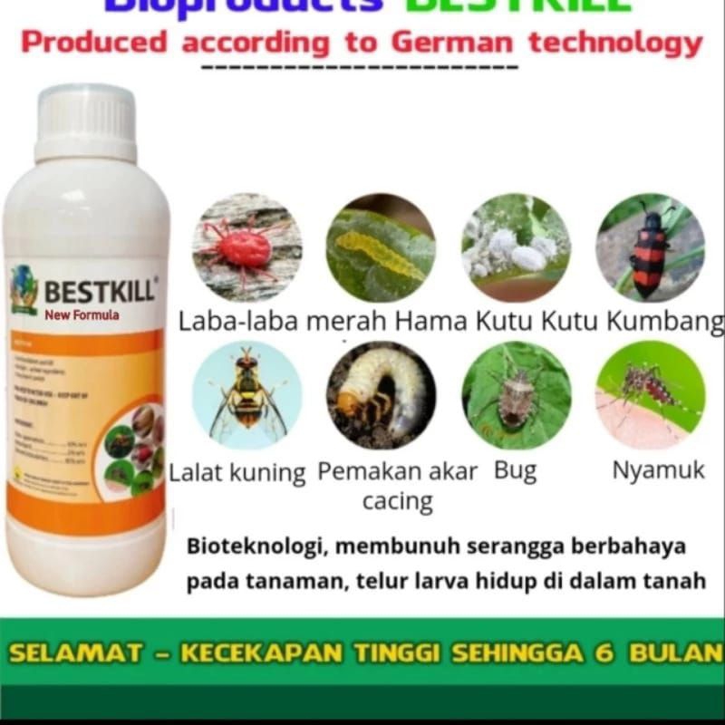 Insektisida bestkill pembasmi semua jenis hama tanaman