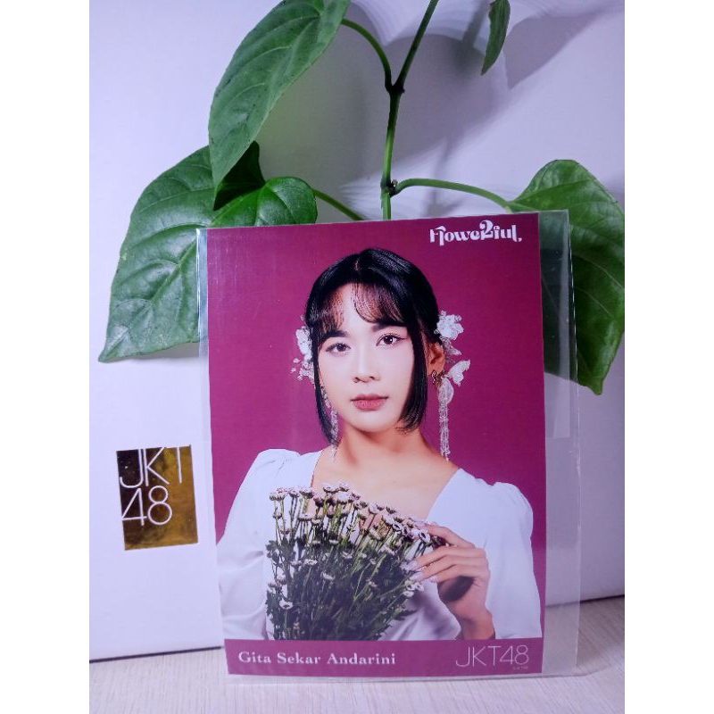 photopack JKT48 flowerfull GITA