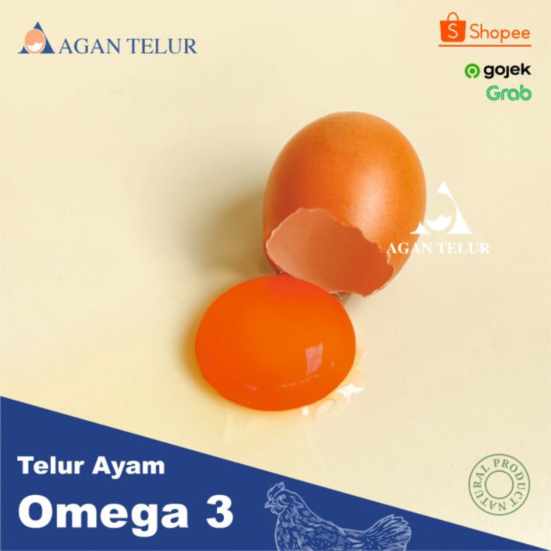 

Discount Today Telur Negeri Omega 3 orange Fresh per kg 15 16 btr murah