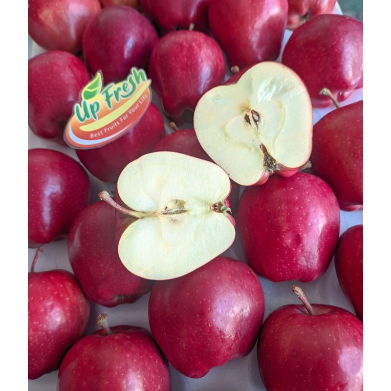 

APEL RED DELL/APEL MANIS/APEL MERAH