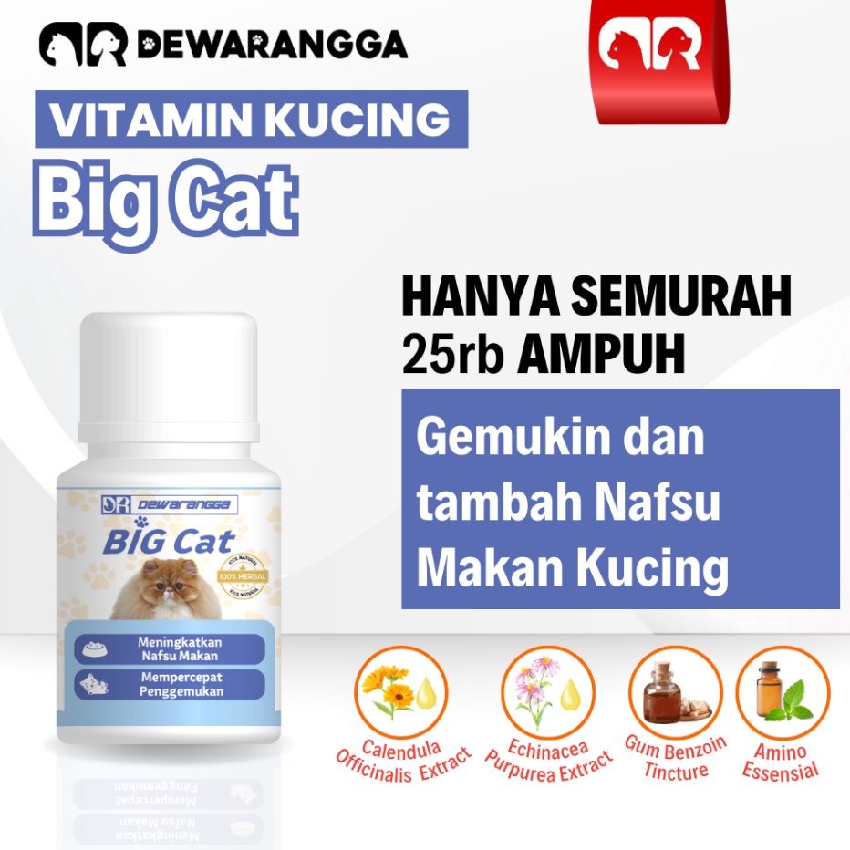Ready Stok Vitamin Kucing BIG CAT Dewarangga  Vitamin Nafsu Makan dan Penggemuk Kucing  Vitamin Kuci