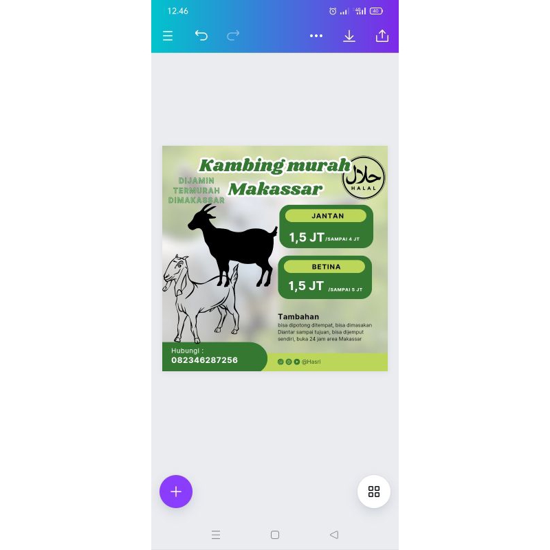 

kambing-aqiqah