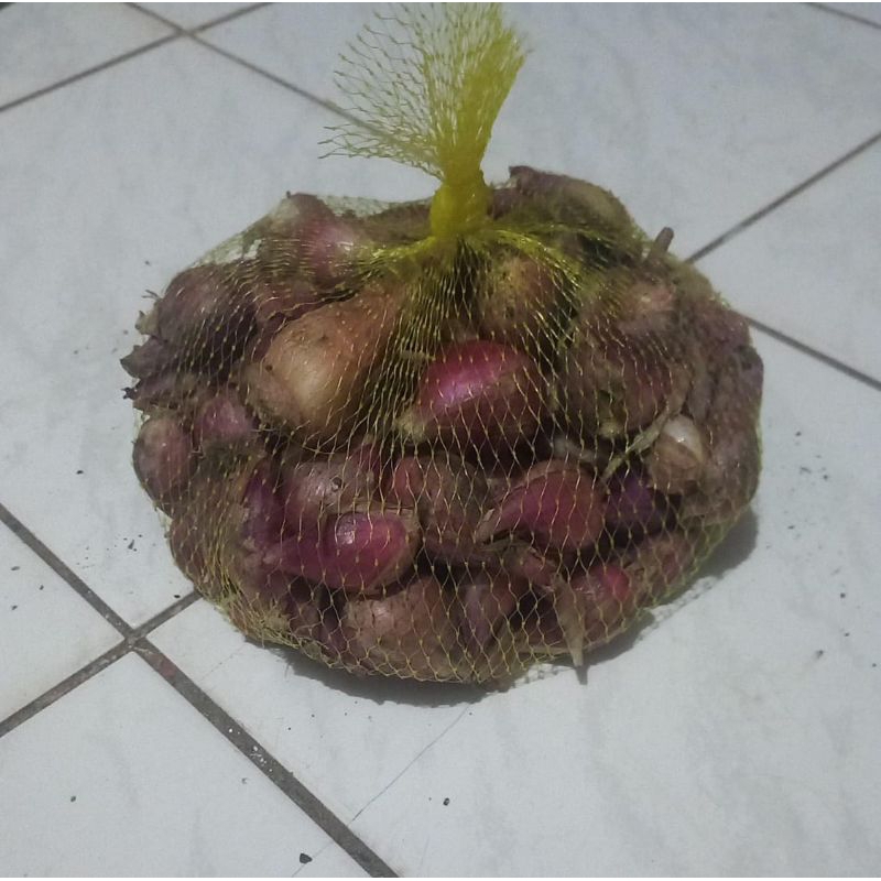 

Bawang Merah Brebes