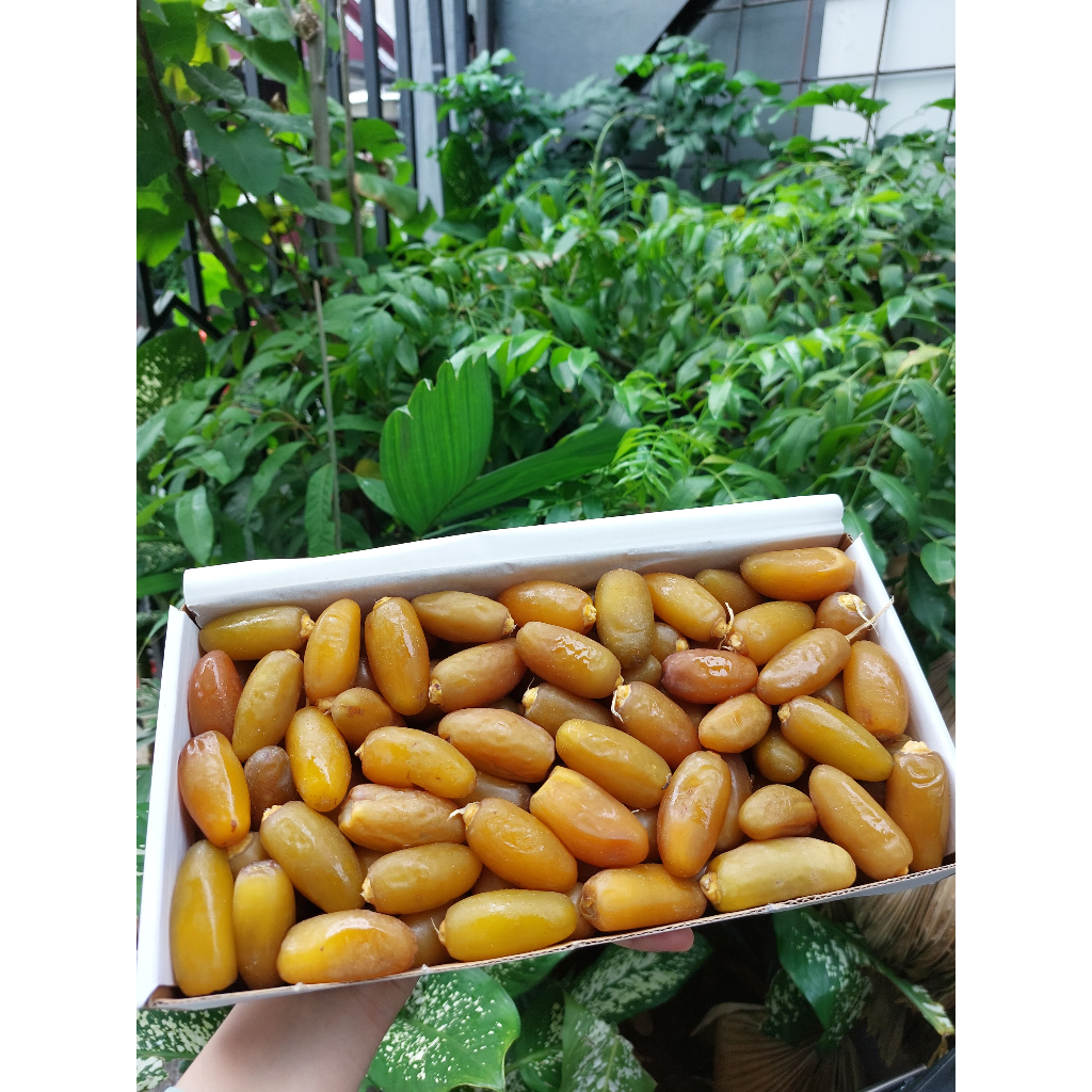 

terlaris kurma ruthob sukari sukkari 1kg/original / fresh