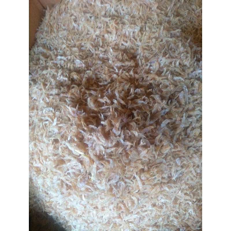 

GROSIR Udang Rebon Murah 1Kg