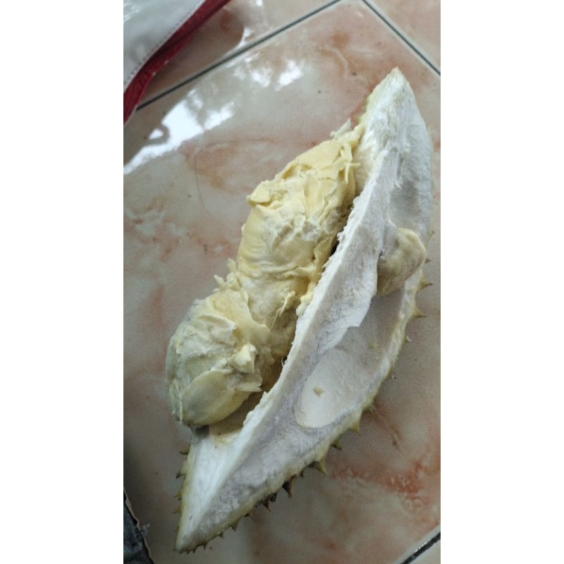 

durian