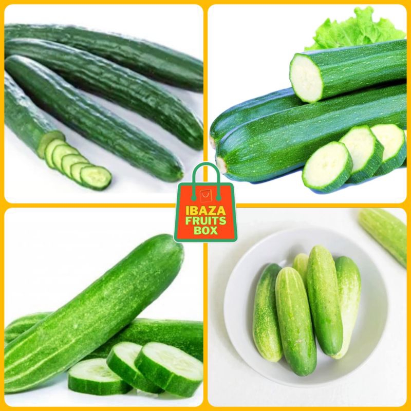 

Sayur Timun, Timun Baby, Timun Zukini, Timun Kyuri, Timun Jepang, Timun Suri Sayur Segar Ibaza fruitsBOX