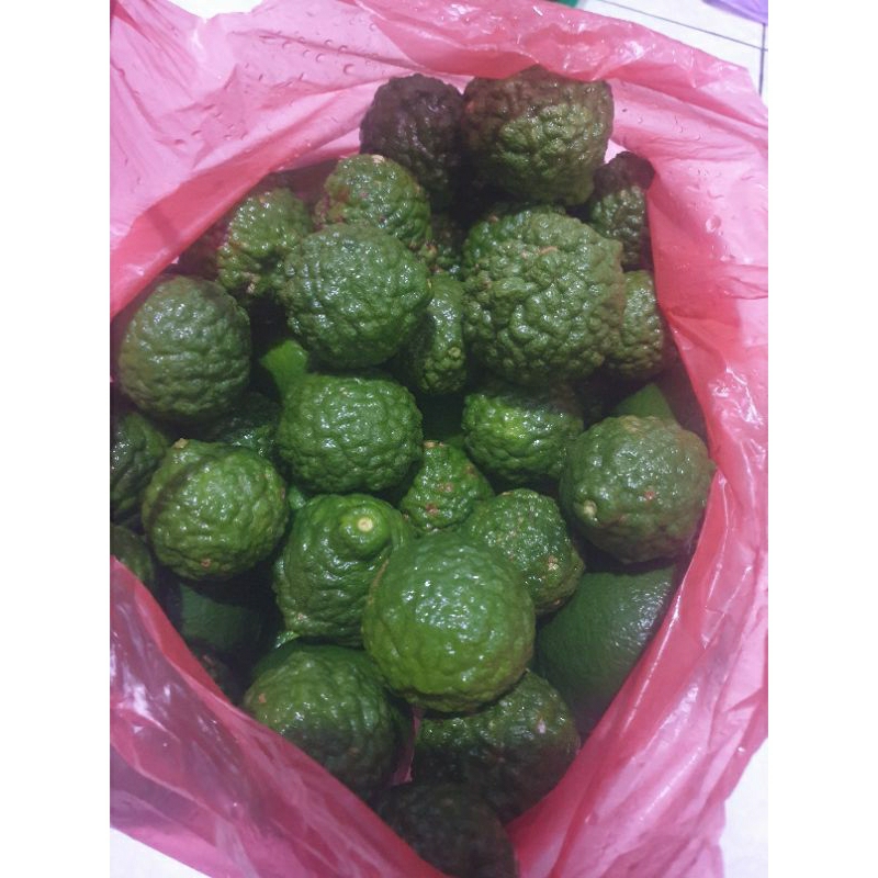 

jeruk purut (jeruk sambel)