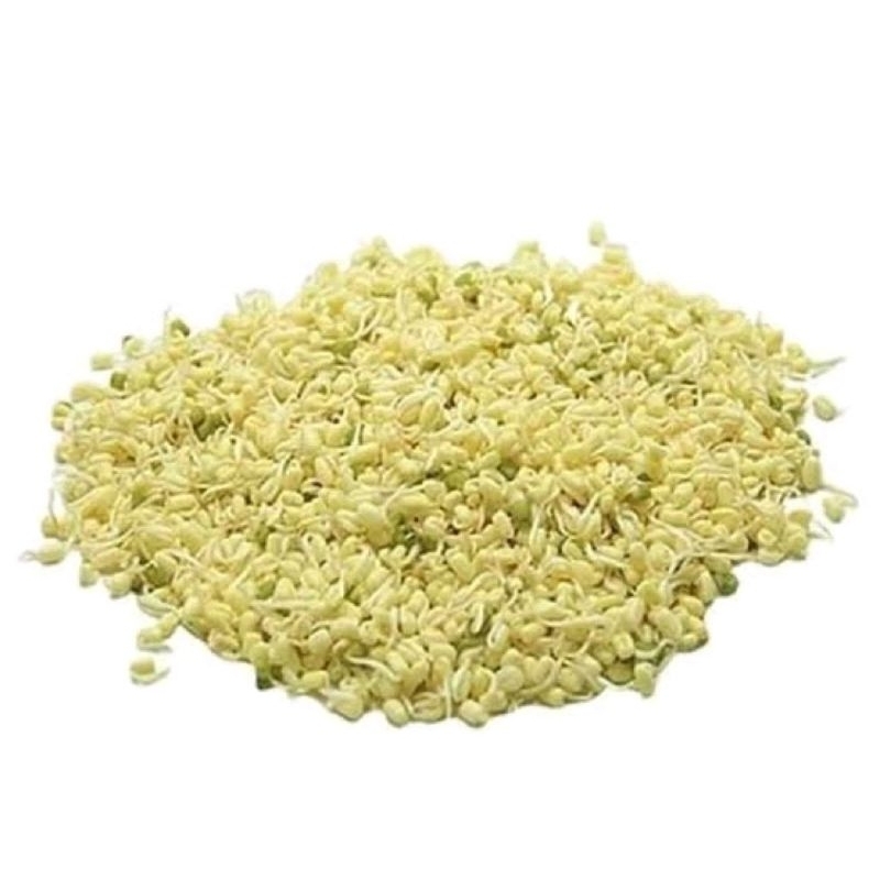 

TAUGE RAWON / KECAMBAH 100G / JAMIN SEGAR