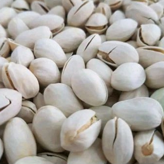 

kacang pistacio