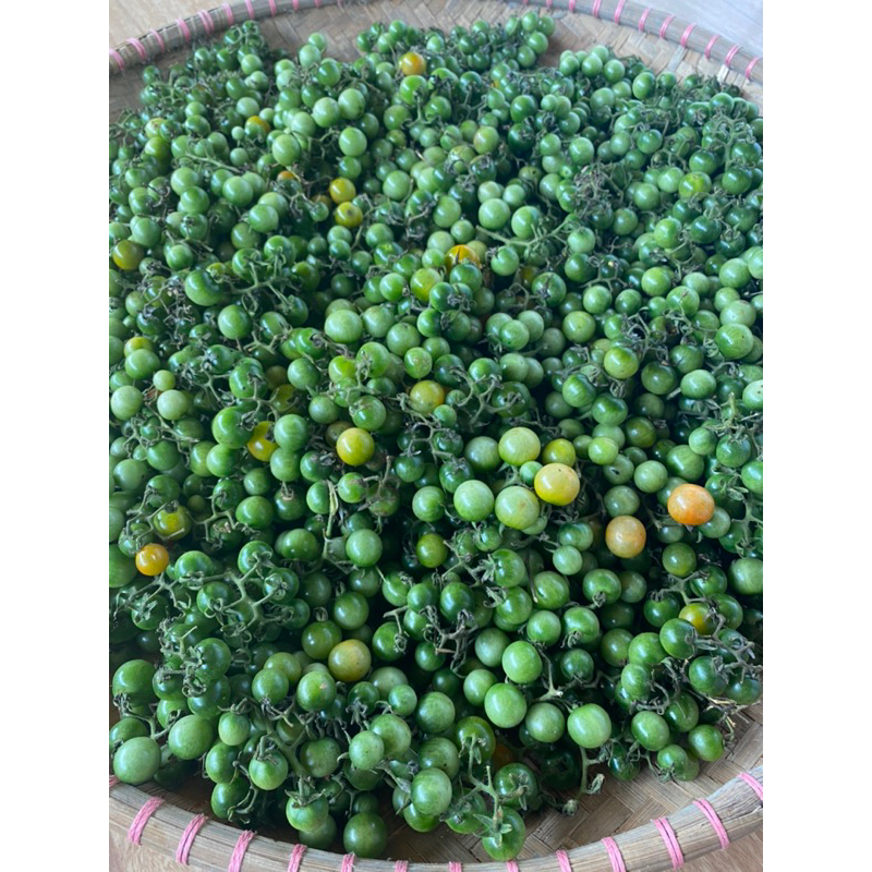 

Tomat rampai khas lampung yang masih ijo ukuran 1KG